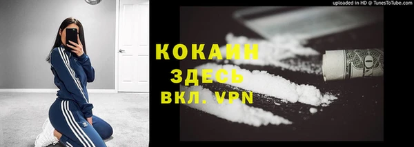 мет Протвино