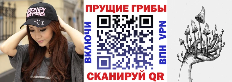 наркошоп  Томари  Галлюциногенные грибы GOLDEN TEACHER 